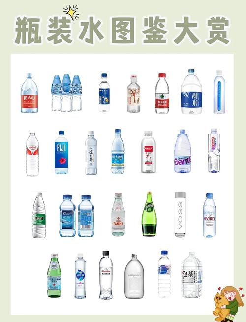 瓶装水分类及品质规范常见不合格项目快速解析 GB19298内容同步